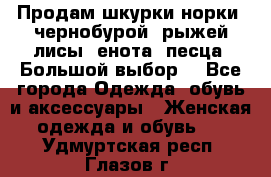 Продам шкурки норки, чернобурой, рыжей лисы, енота, песца. Большой выбор. - Все города Одежда, обувь и аксессуары » Женская одежда и обувь   . Удмуртская респ.,Глазов г.